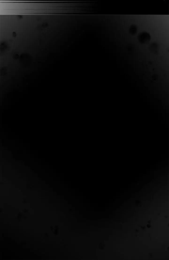 I’m the Ex-Girlfriend of a Soldier chapter 81 - page 10